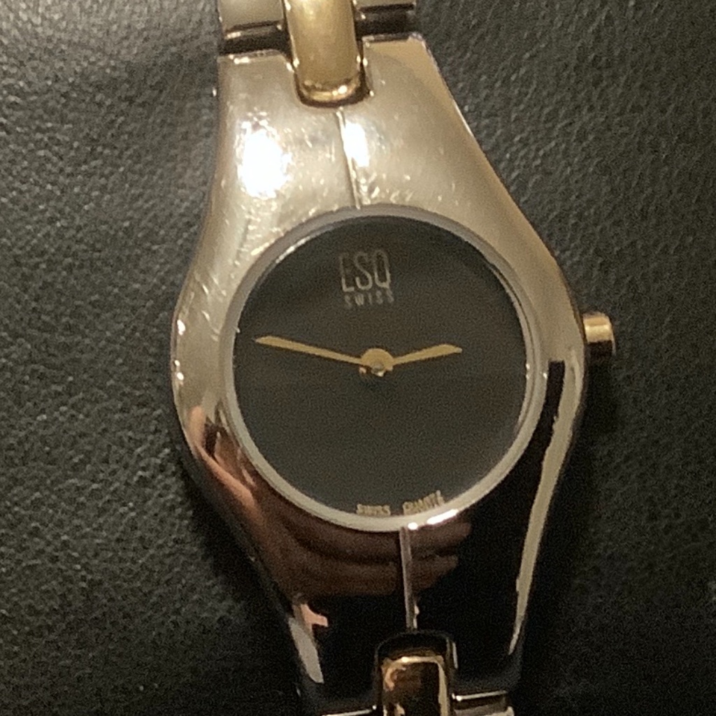 Esq Swiss Watch